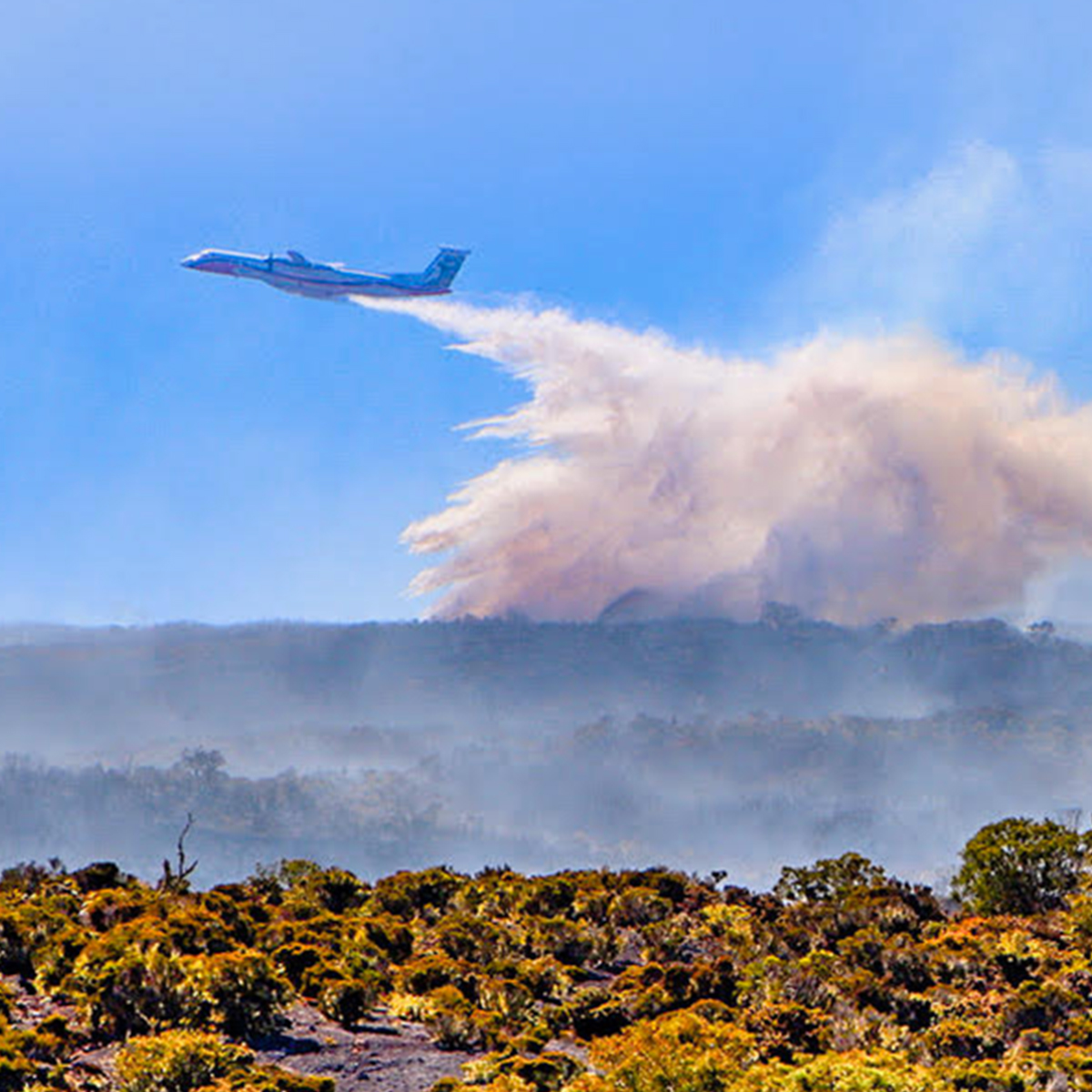 Formation Risques incendie à La Réunion